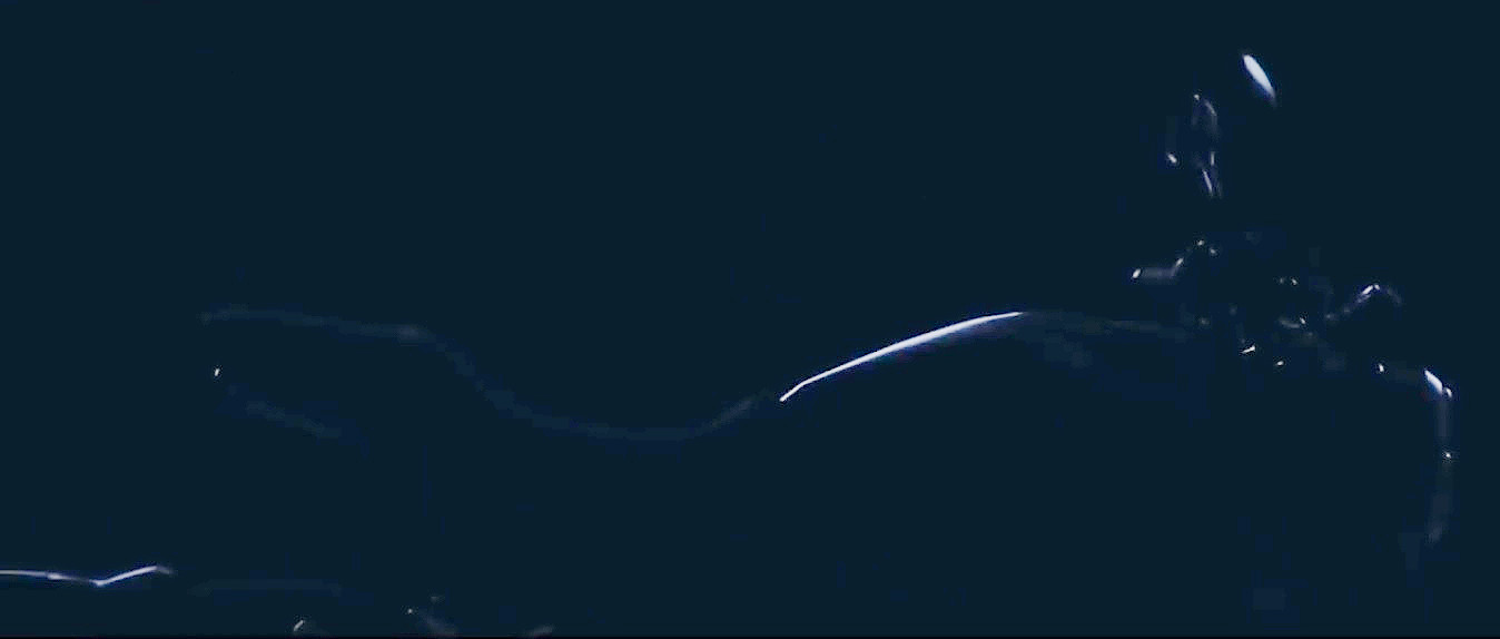 將影片中的車側照拉高曝光,新車身線就非常清楚了