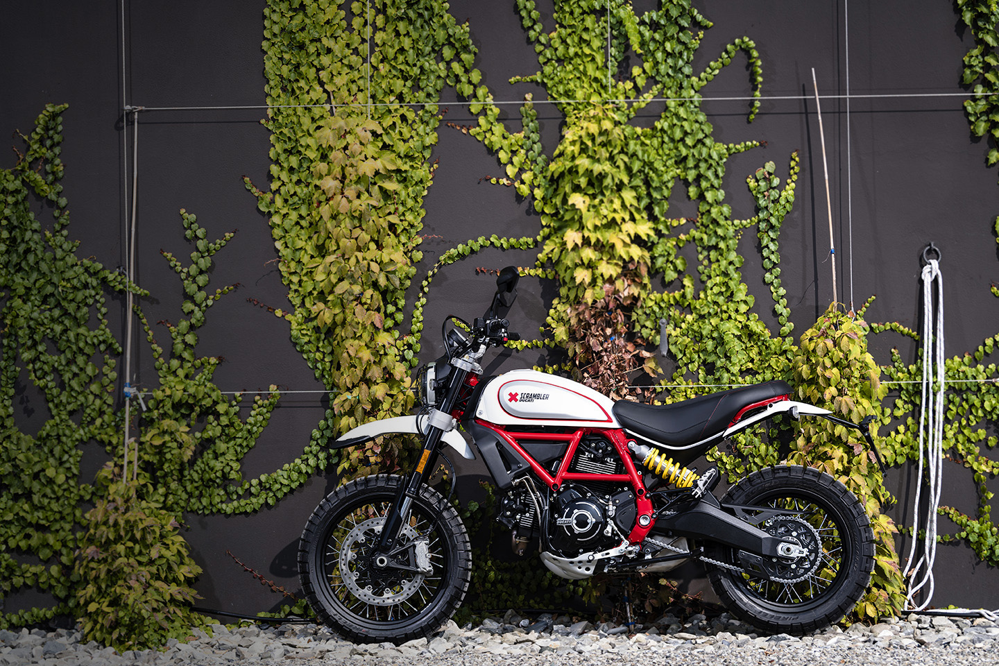 2019 Ducati Scrambler Desert Sled