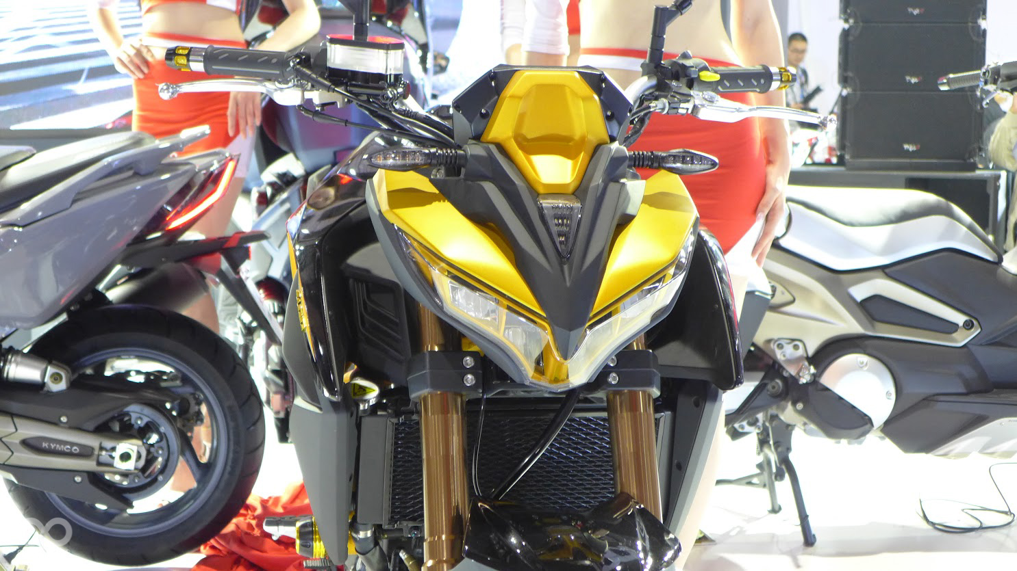 V字型的車頭燈肌肉感十足