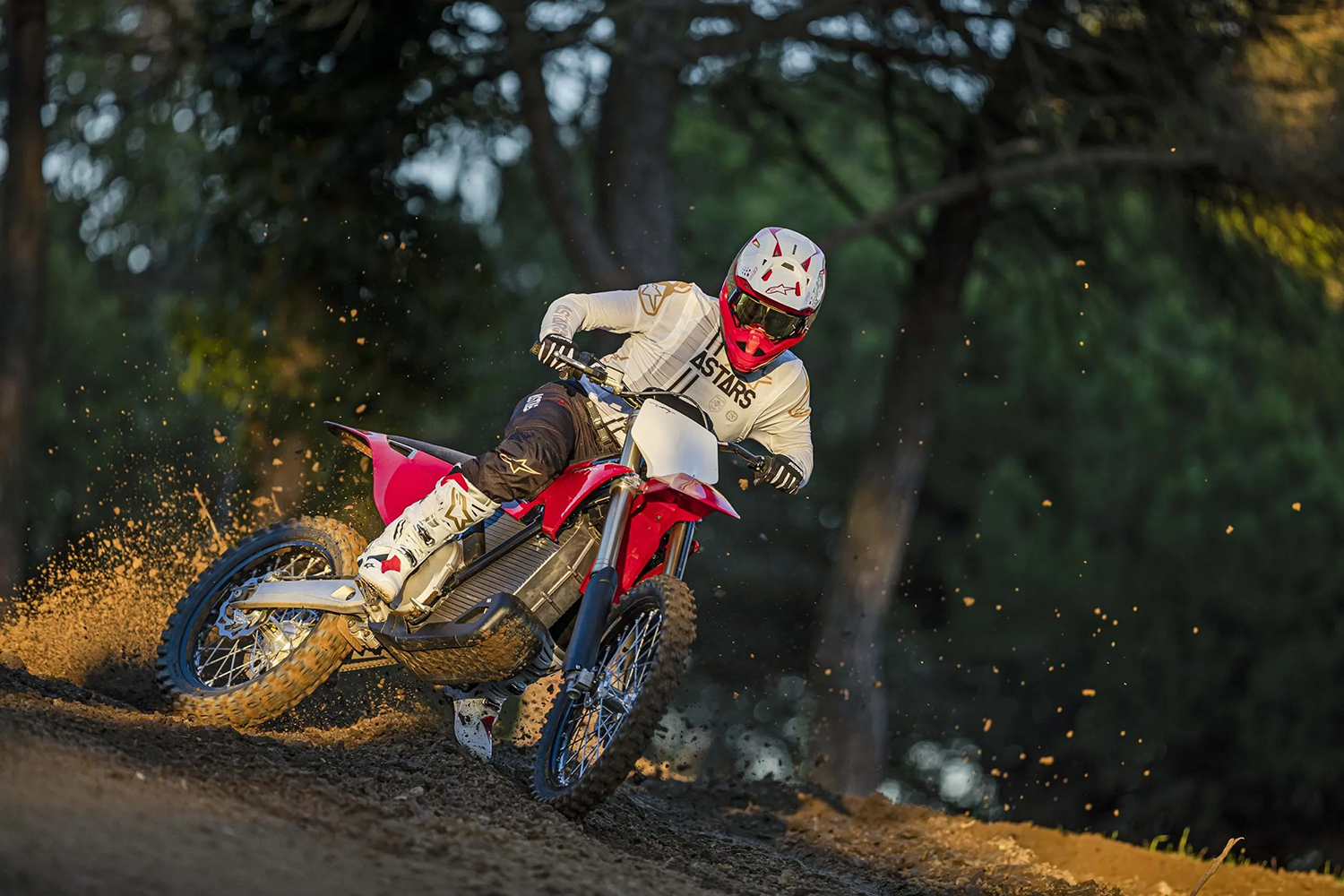 Stark VARG號稱擁有超過100種動力曲線圖，能模擬125c.c.-450c.c.的四行程、二行程引擎動力特性