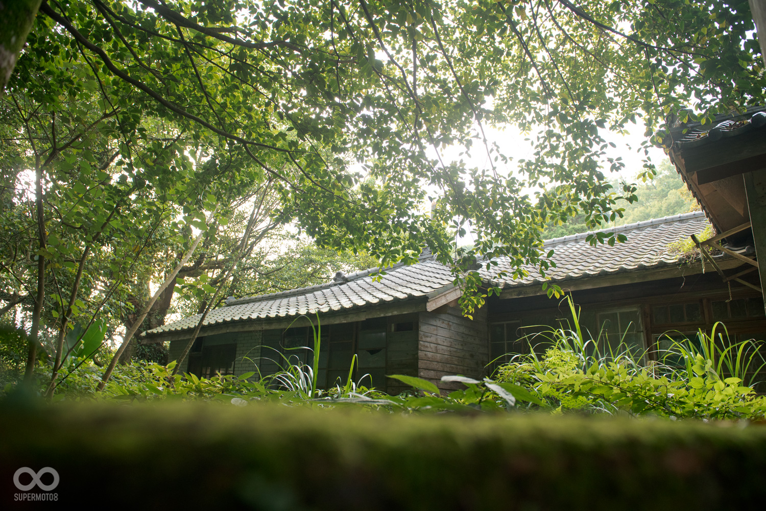 今日的草山御賓館，年久失修早已殘破不堪，但從遺址與清幽的環境多少還是能感受到當時的氣派輝煌。