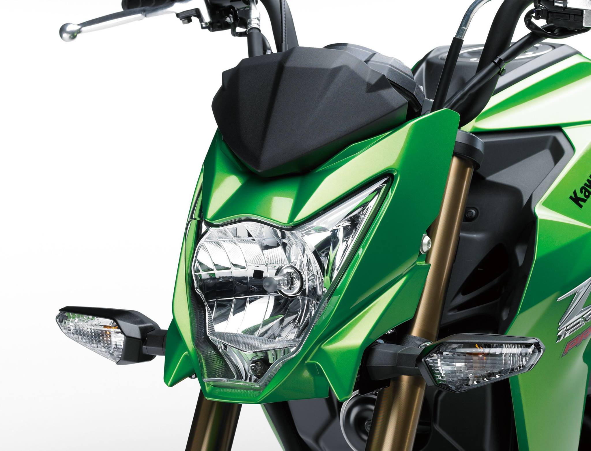頭燈具有Kawasaki Z家族的一致風格。