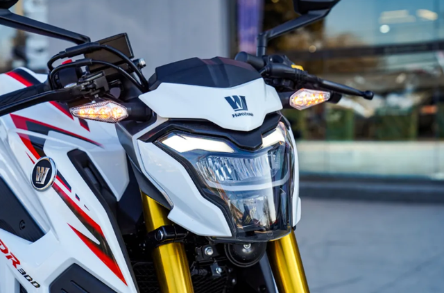 DR300外型設計有幾分SUZUKI GSX-S家族的韻味