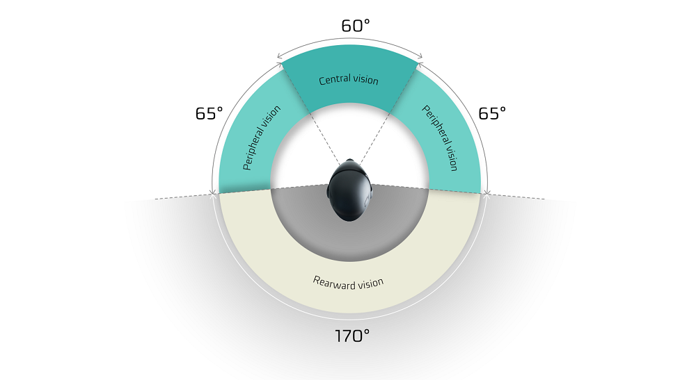 工程師為了要補足後方170度不可視的區域,在安全帽後方裝置攝影機,再把影像投影至前端的抬頭顯示器