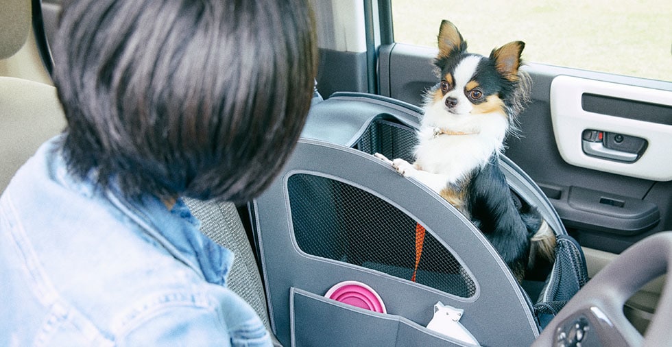 副駕駛座的網布狗籠，除了保護狗狗在遭遇意外時不會被拋出車外之外，對於飼主來說，更能確保寵物不會在車上亂跑造成開車時的干擾