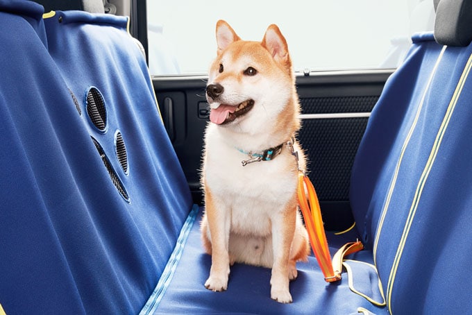 座椅護罩除了能保護皮椅座墊不會被狗狗抓花之外，更能確保狗毛不會弄髒車內空間