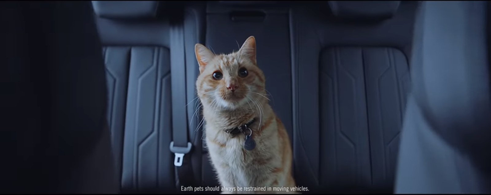 除了致敬電影元素之外,也不忘提醒觀眾寵物搭乘車輛時的注意事項